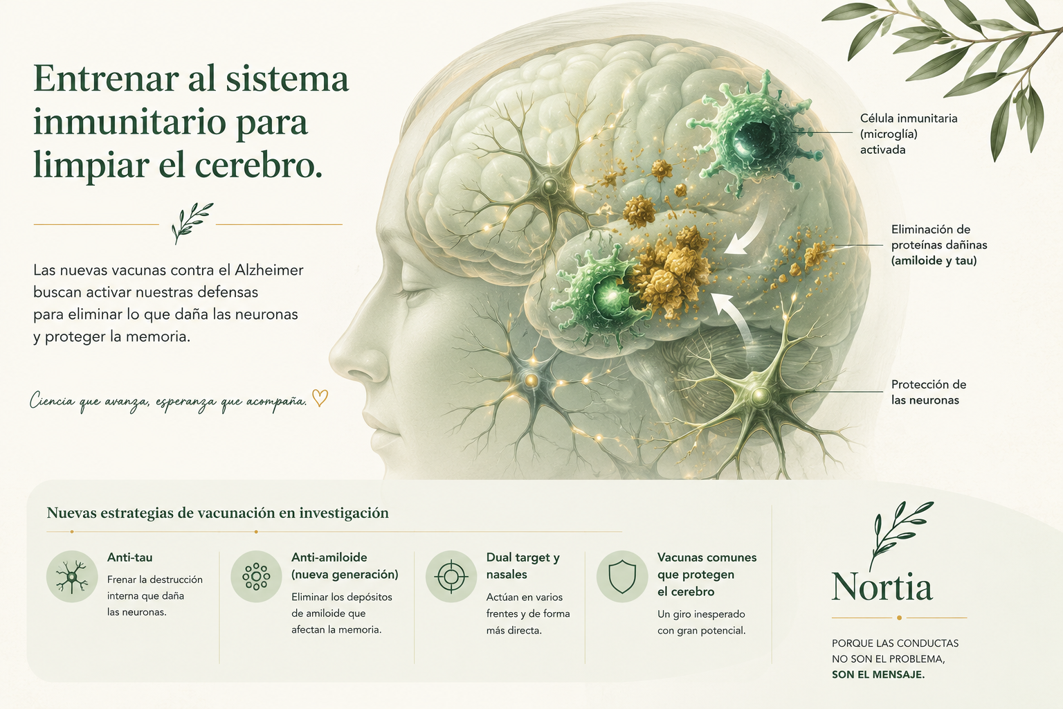 Infografía sobre las nuevas estrategias de vacunación contra el Alzheimer: anti-tau, antiamiloide, dual target nasal y vacunas comunes que protegen el cerebro